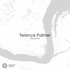 Terence Palmer - Beautiful (Original Mix)