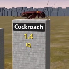 KSZD – Upbeat Hit Mashups Set | Club Mix