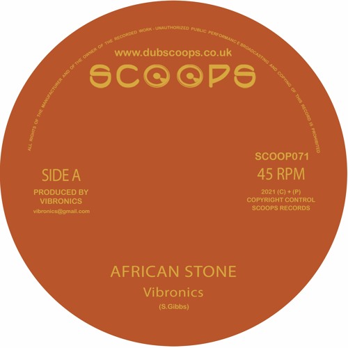 【激レア盤】Vibronics – Terror／African Stone African Stone | Vibronics