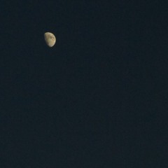 ポリフォニーの孤島_第一回_ゲスト：かずかず