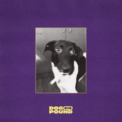 Dog on Acid - Life in the dark forest
