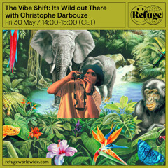 The Vibe Shift Its Wild out There - Christophe Darbouze - 30 May 2025