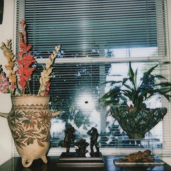 OPENTHEWINDOW ft jah