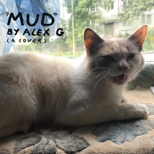 mud (alex g cover)