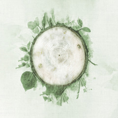 Rebirth