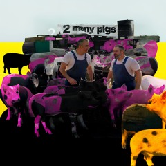 2 many pigs