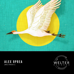 PREMIERE: Alex Oprea - Pattern 94 [WELTER261]