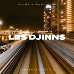 Djuma Soundsystem - Les Djinns (Tennebreck Remix) (Extended)