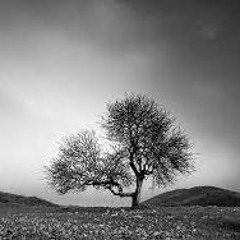 Alone