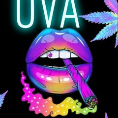 OVA- Gassed Up