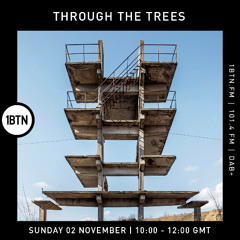 Through The Trees w/ Ty - 02.11.25