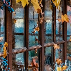 Autumn Dreams - Progressive House & Melodic Techno Set