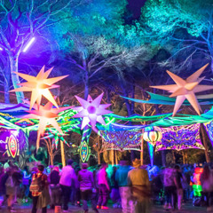 Transition Festival 2025