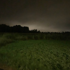 Eagles (Dallas Solo)