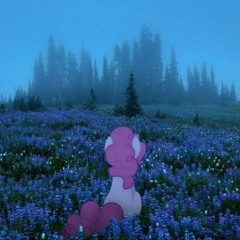 summertime horse beach