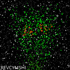 RevCymShi