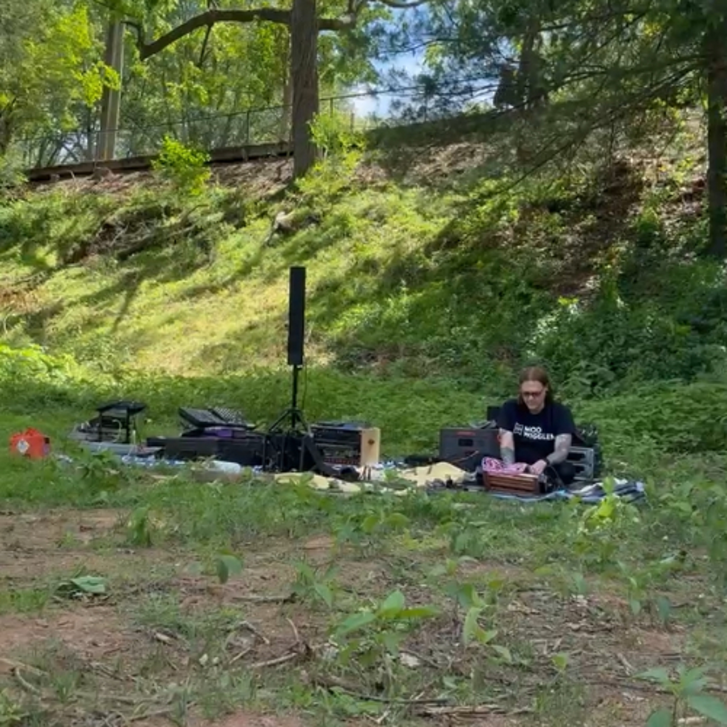 A Pale Void - Synths in the Wild episode artwork