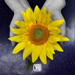 CHAN - Sunflower(Original Mix)