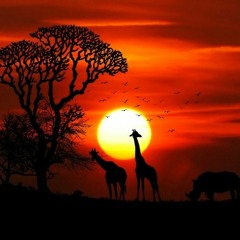 African Sundown (Deep Afro House)