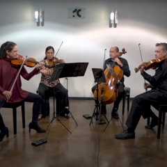 Infección Bacteriana (2024), for string quartet