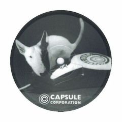 Capsule Corp - Live teknival de Narbonne (1999)