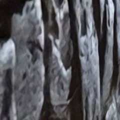 make reg timeeg2or4myflp_35 (mastered)