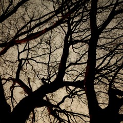 Scared #64