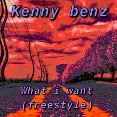 What i Want (Freestyle)