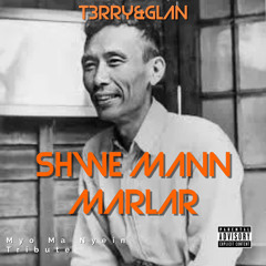 T3RRY& Glan - Shwe Mann Marlar (HardTechno Mix)(dvlm inspire)