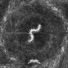 CENTIPEDE //  ಕ್ರಾಲ್ ಮೂಕ ಮಾರ್ಗಗಳು ಕಾಣದ ನೆರಳುಗಳ ಹಿಡಿತದಲ್ಲಿ ನಿರಂತರತೆ ಬೆಳೆಯುತ್ತದೆ