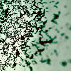 It's Out On Everybody - The Consequences