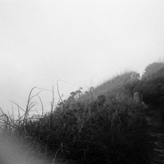 - Kindling - 10.16.2025