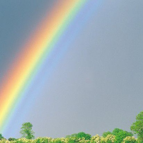 Take Me To The Rainbow