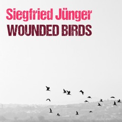Wounded Birds by Siegfried Jünger