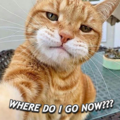 Where Do I Go Now (Demo)