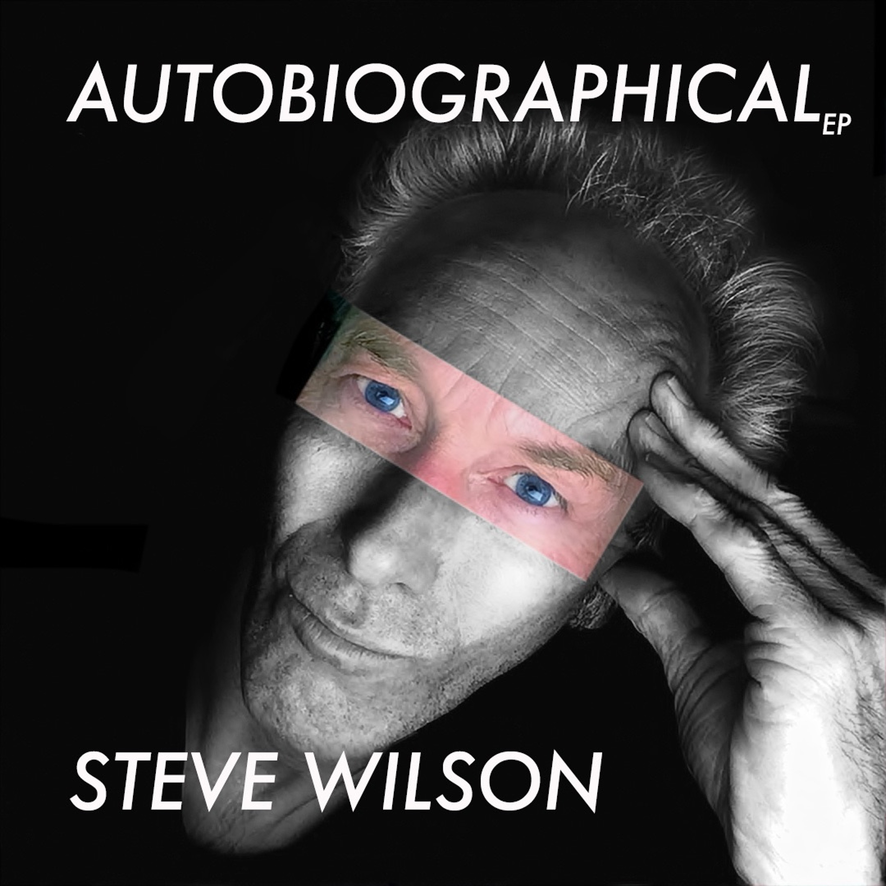 Steve Wilson  Music Preview  1