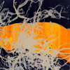 The Basic Moves Of ... islas DJ mix artwork - Electronic music tracklist cover image