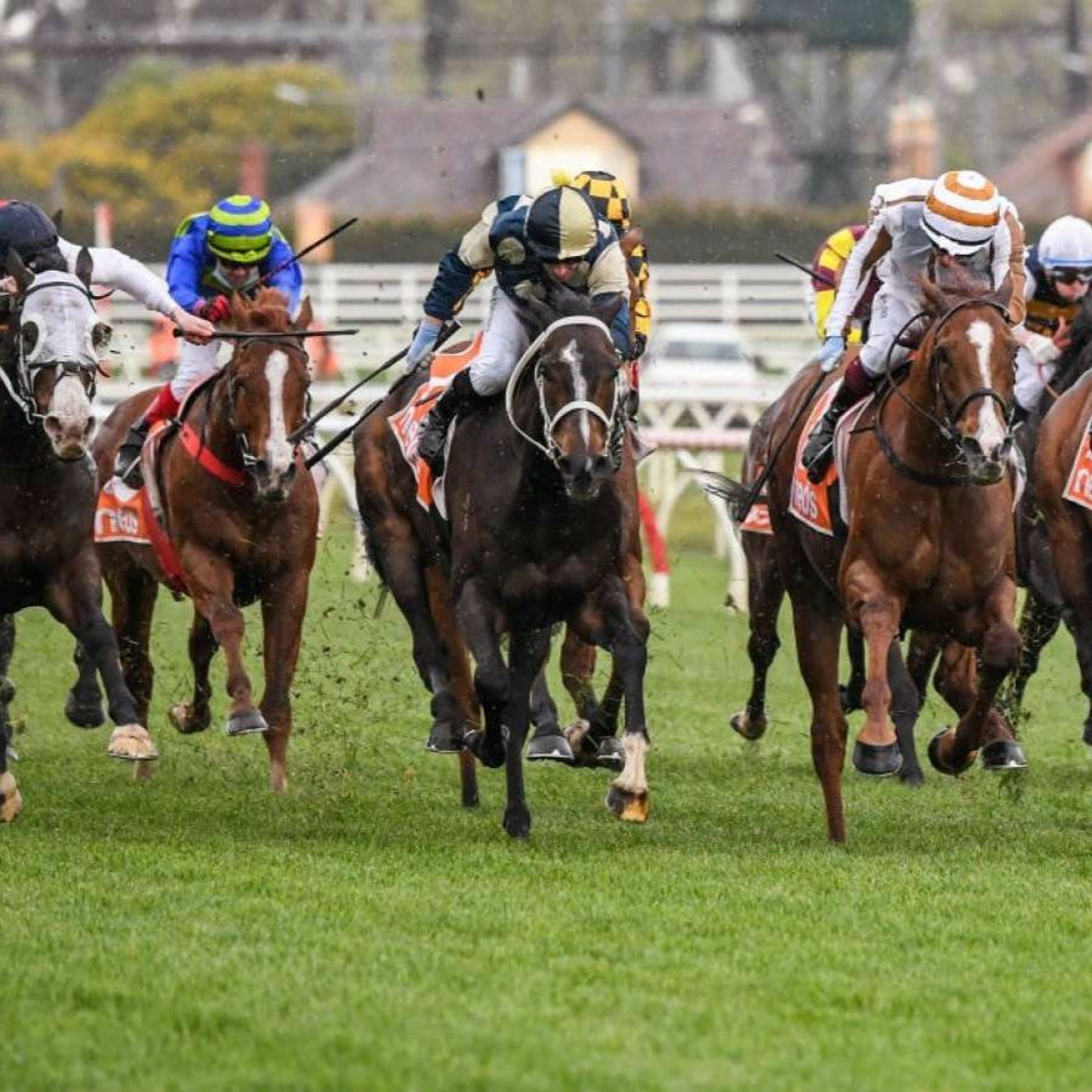 Sir Rupert Clarke Day Review