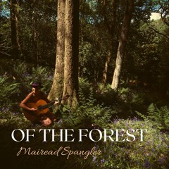 Bountiful, Blissful, Beautiful