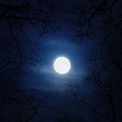 Midnight [Prod. GRMY]