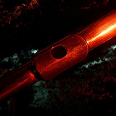 Concerto for Flute, Strings and Piano - Harbinger