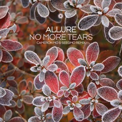Allure - No More Tears (Cameron Mo & Seegmo Remix)***Available To Purchase***