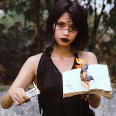 Diary Burner (Instrumental)