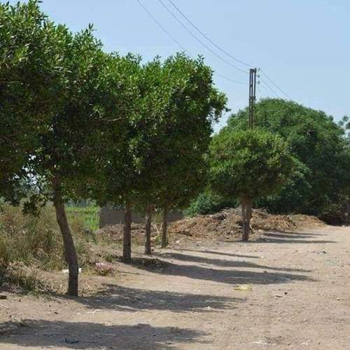 يَا أَيُّهَا الْإِنسَانُ مَا غَرَّكَ بِرَبِّكَ الْكَرِيم.mp3