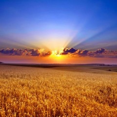 Canción para levantarse