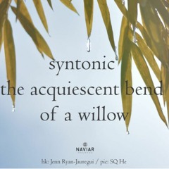 Willow_Naviarhaiku465