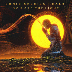 Sonic Species & Kalki - You Are The Light [sample]