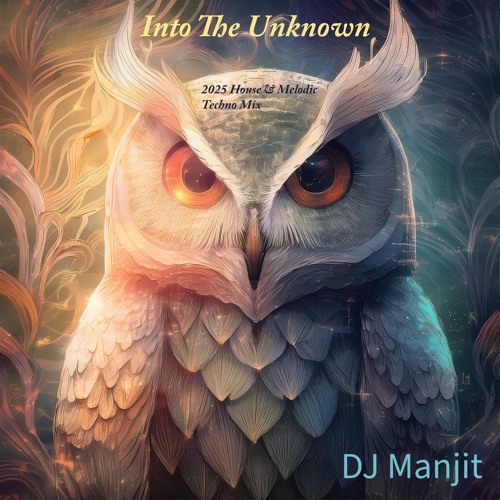 Into The Unknown - Melodic Afro House And Techno Mix