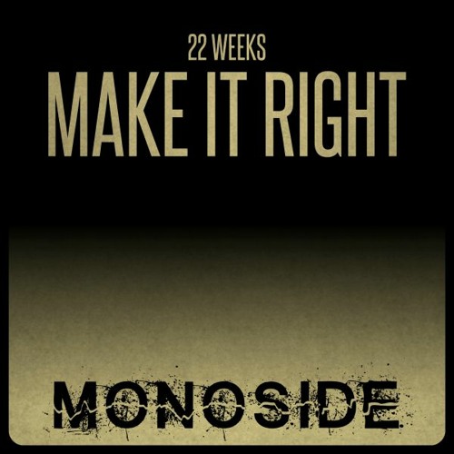 22 Weeks - MAKE IT RIGHT // MS104