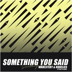 Wahlstedt & RudeLies - Something You Said